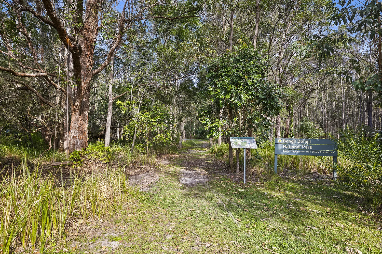 Image 25
