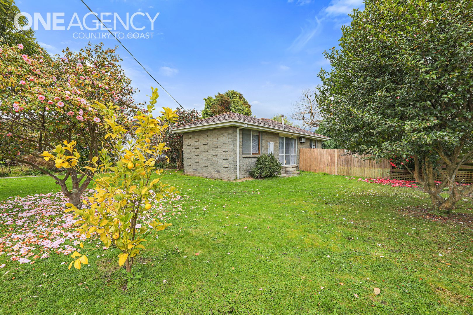 35 Contingent Street, Trafalgar VIC 3824, Image 2