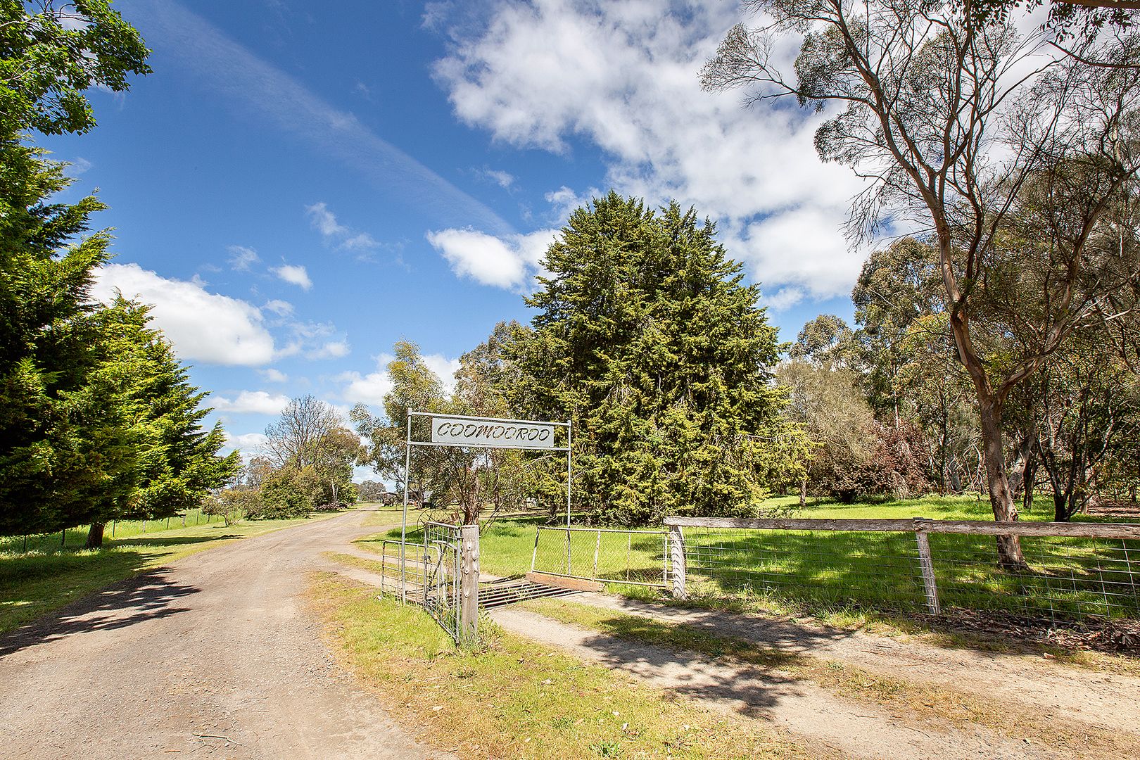 227 Millers Lane, Penola SA 5277, Image 1