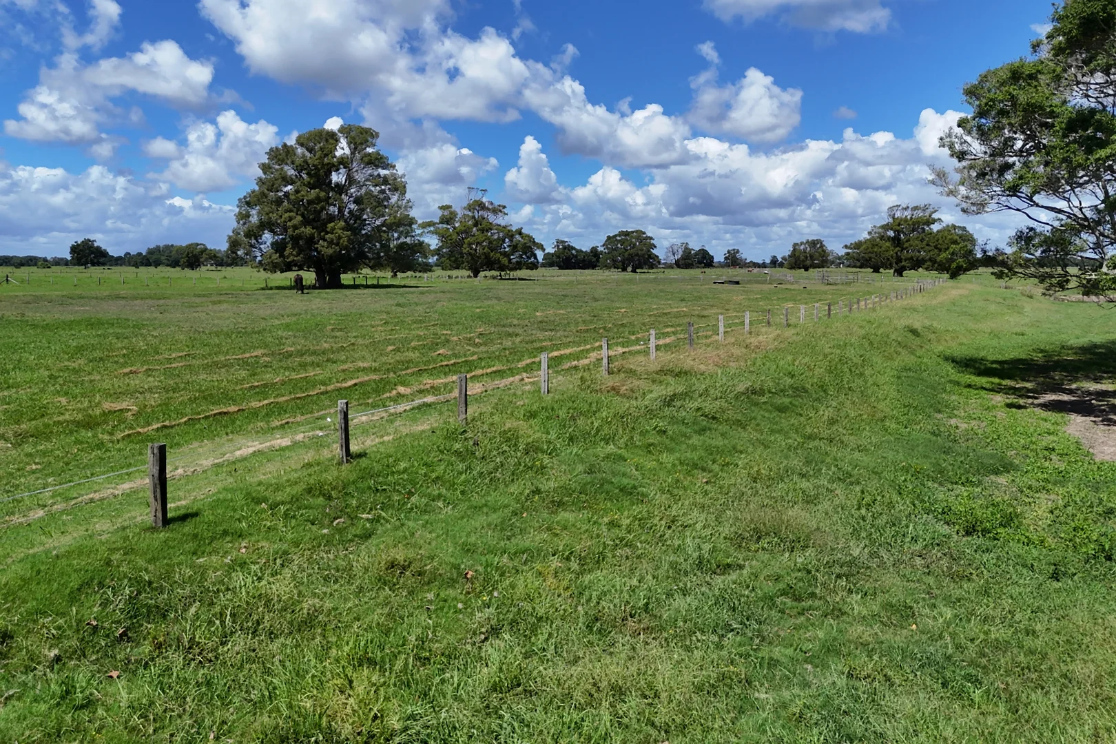 Additional image 23 of 1076 Macleay Valley Way, Bellimbopinni NSW 2440