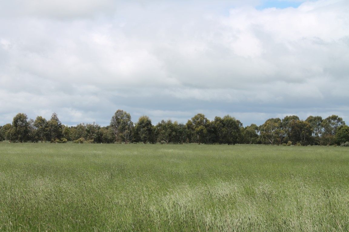 285 Swan Marsh-Stonyford Road, Swan Marsh VIC 3249, Image 0