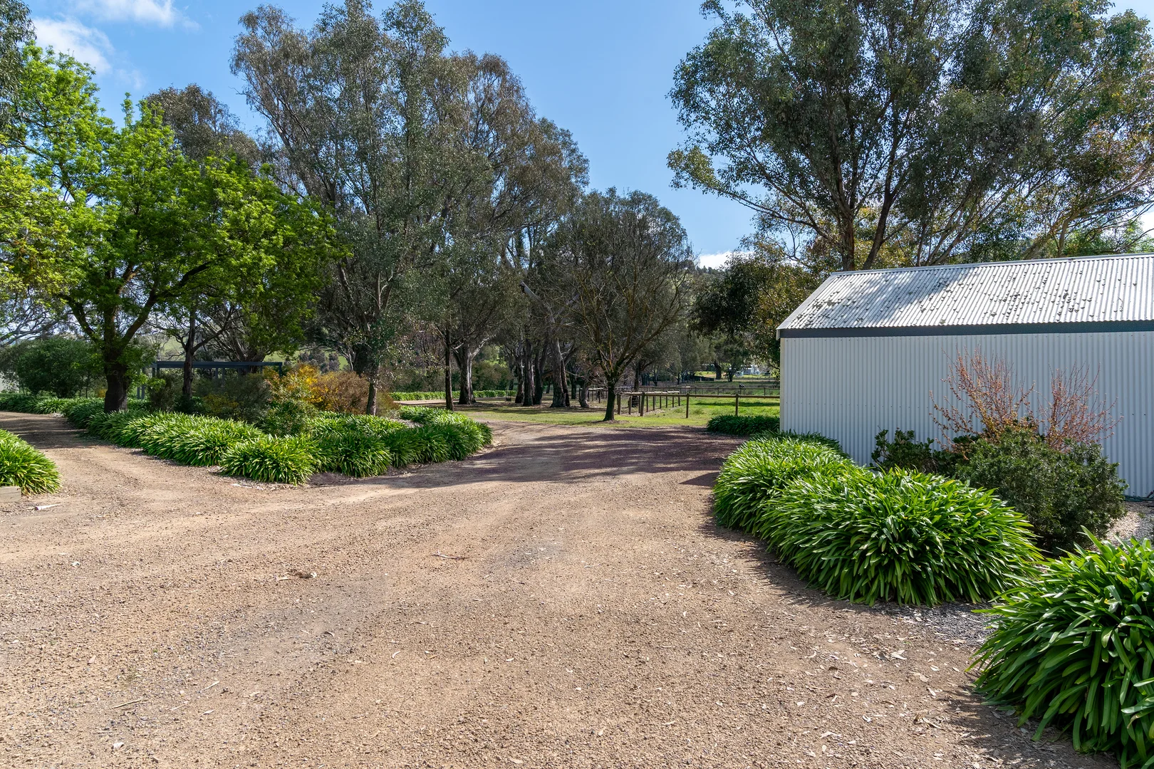 Image 20