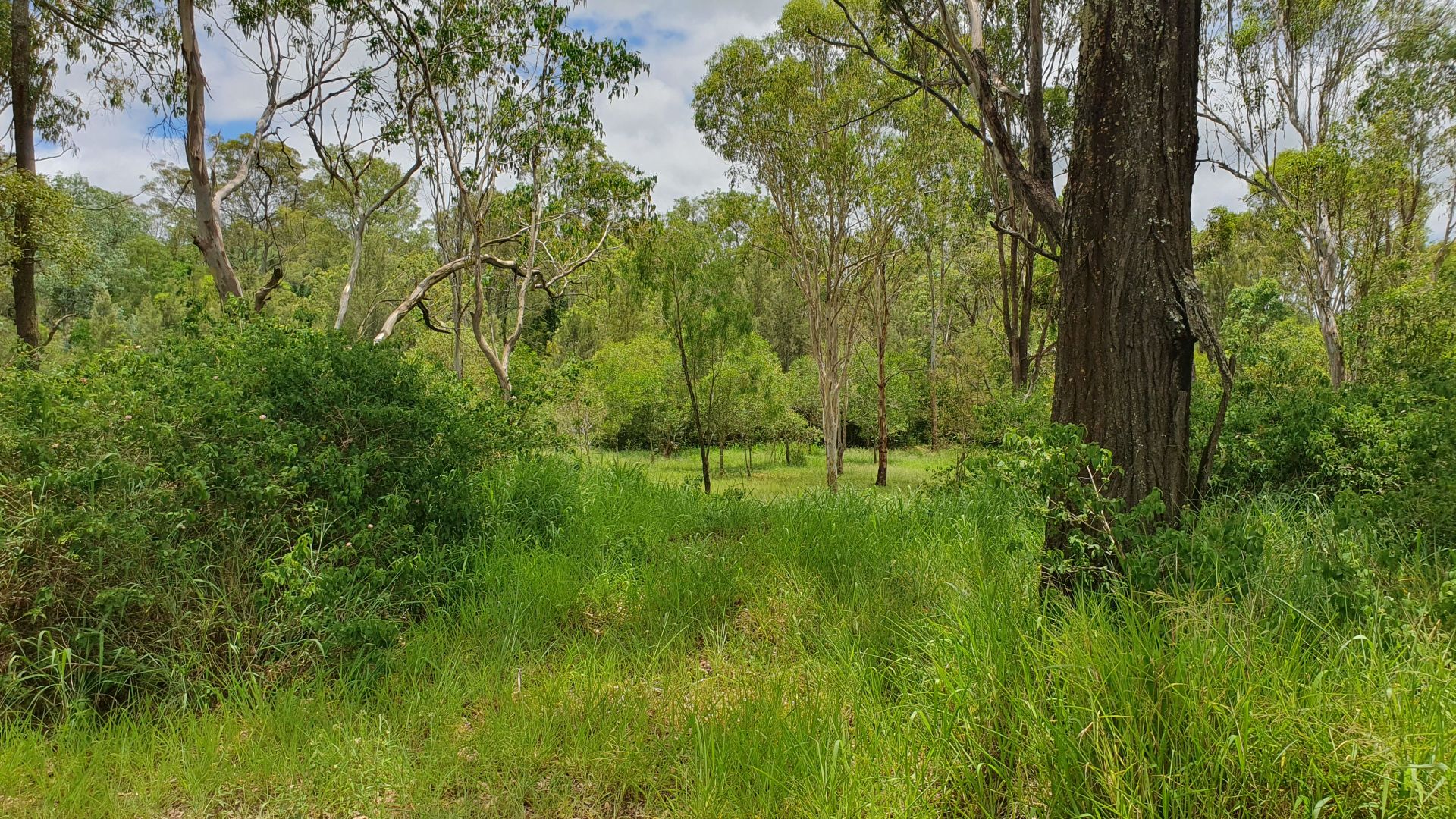 303 Barr Smith Street, Yarraman QLD 4614, Image 2