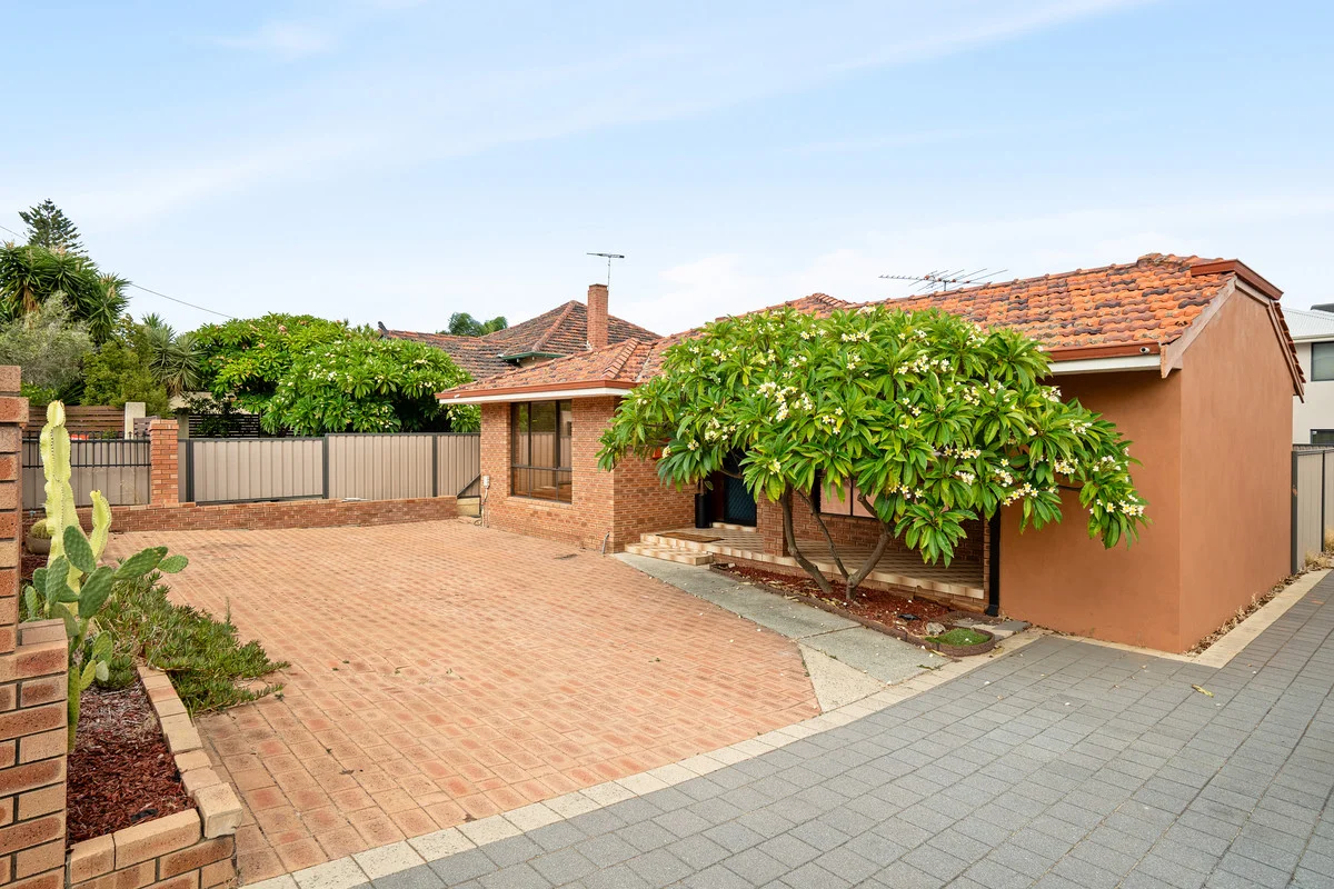 Image 15