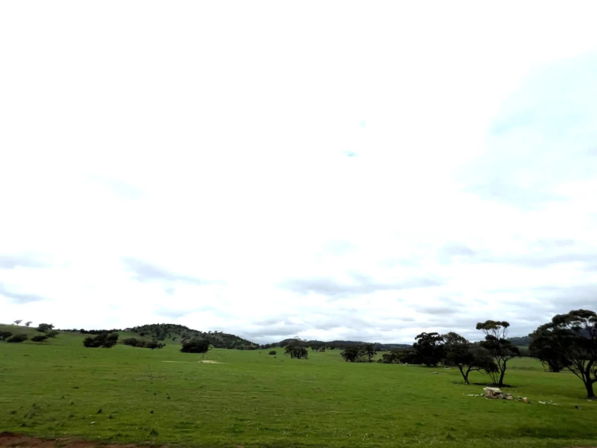 Image 13