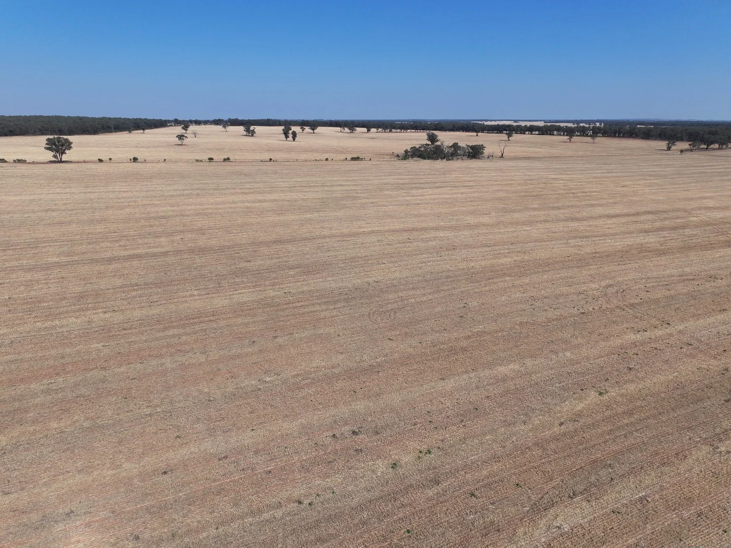 'Wattlevale' 875 Schmidts Lane, Gidginbung NSW 2666