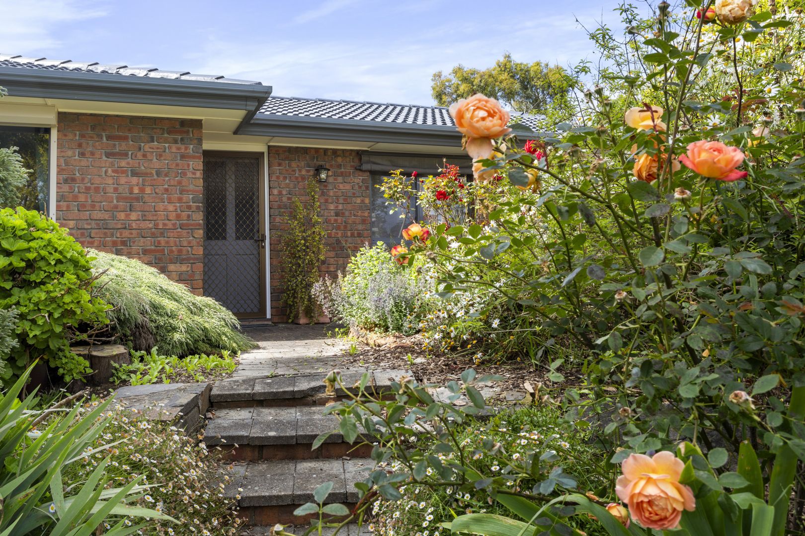 17 Elm Ct, Nairne SA 5252 House For Rent Domain