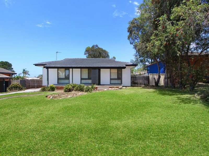 61 Gorokan Drive, Lake Haven NSW 2263 House For Rent Domain