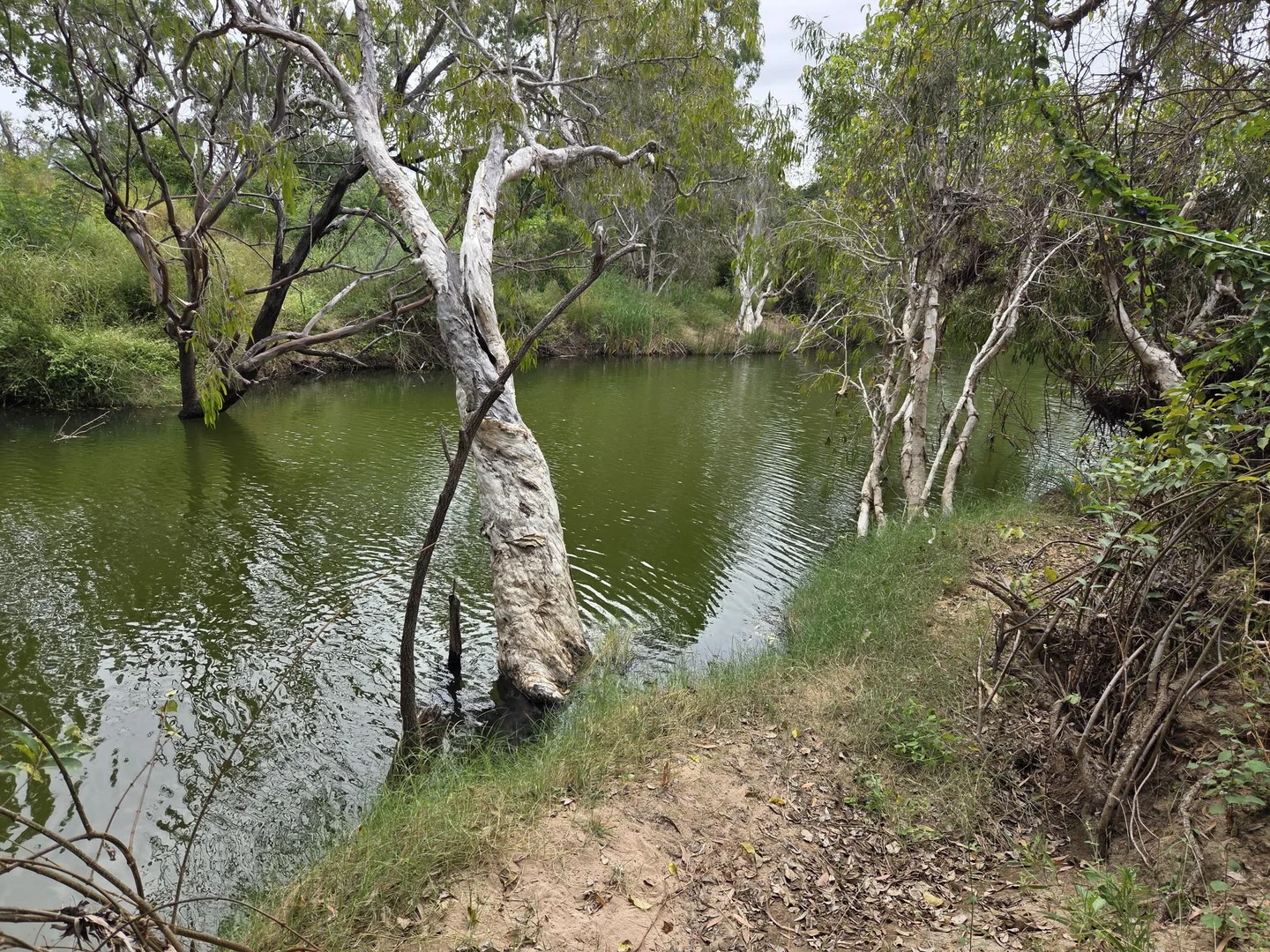 Image 18
