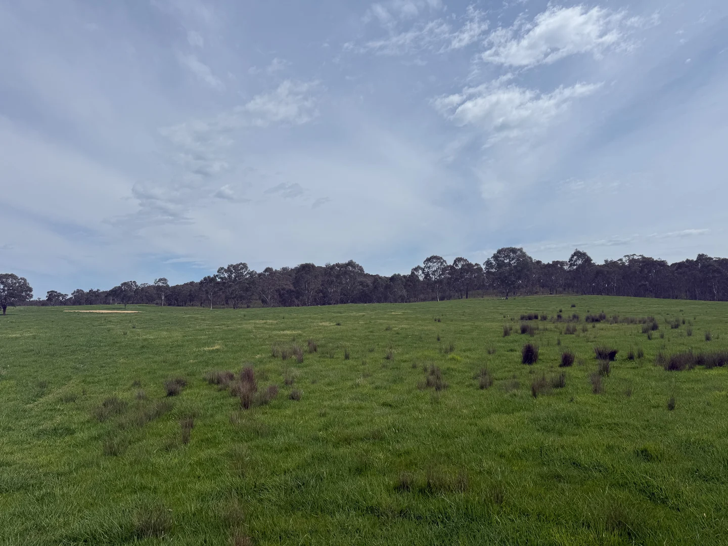 Image 17