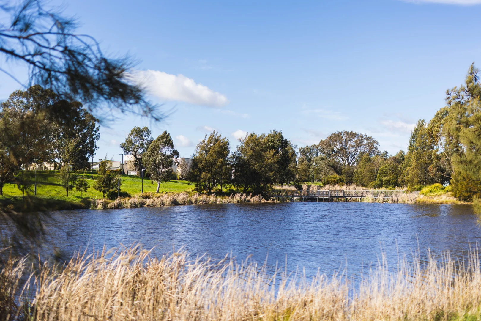 Additional image 17 of 71 Hibberd Crescent, Forde ACT 2914