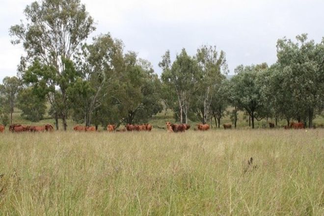 Picture of Lot 107 Mount Stanley Road, AVOCA VALE QLD 4314