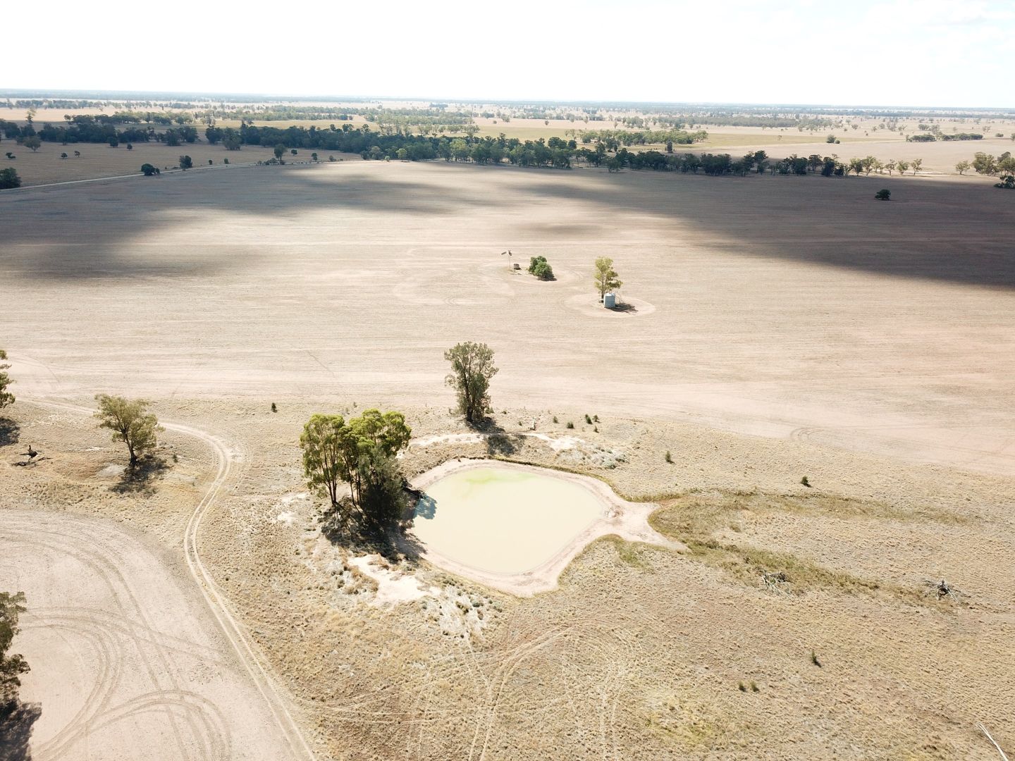 Pett's Block, Pineview Road, Narromine NSW 2821, Image 2