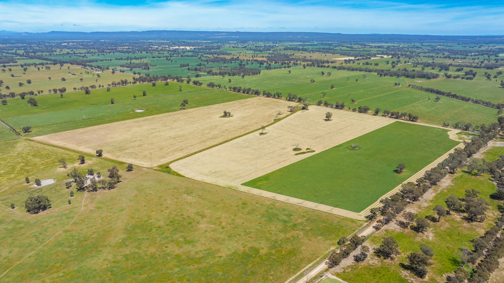 Additional image 13 of Lot 1 Boorhaman-Springhurst Road, Springhurst VIC 3682