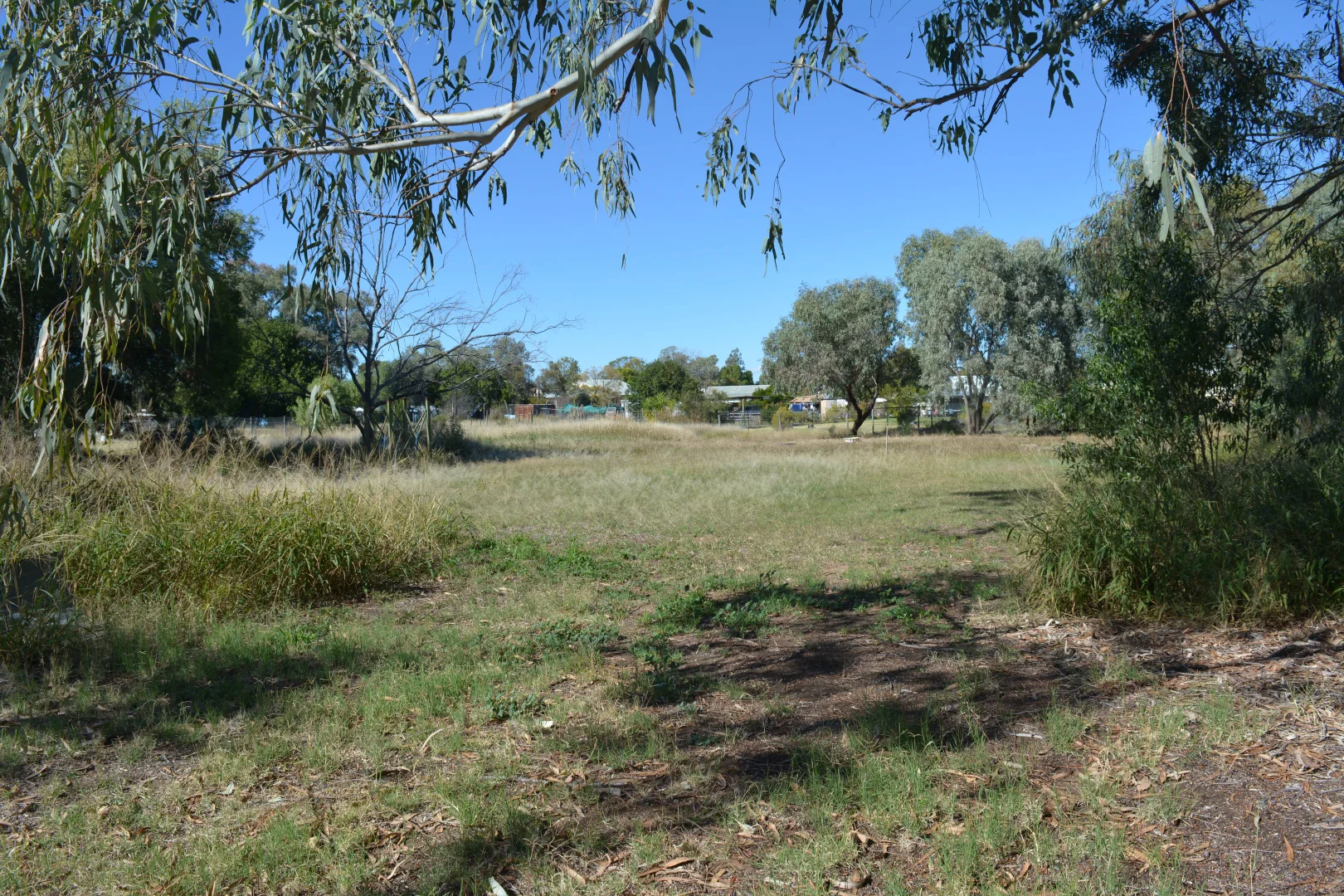 Image 19