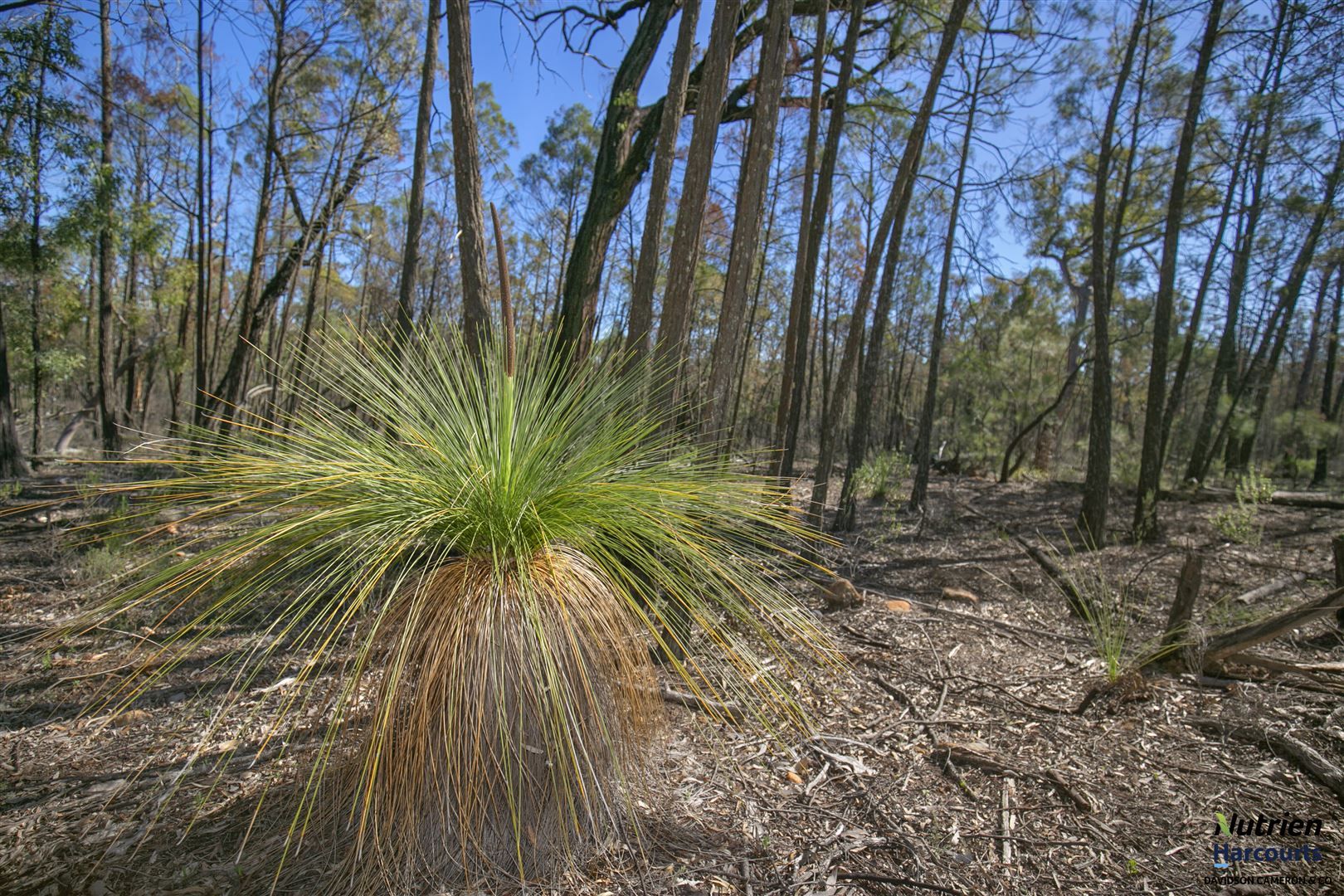 Lot 16/151 Michaels Lane, Warialda NSW 2402, Image 0