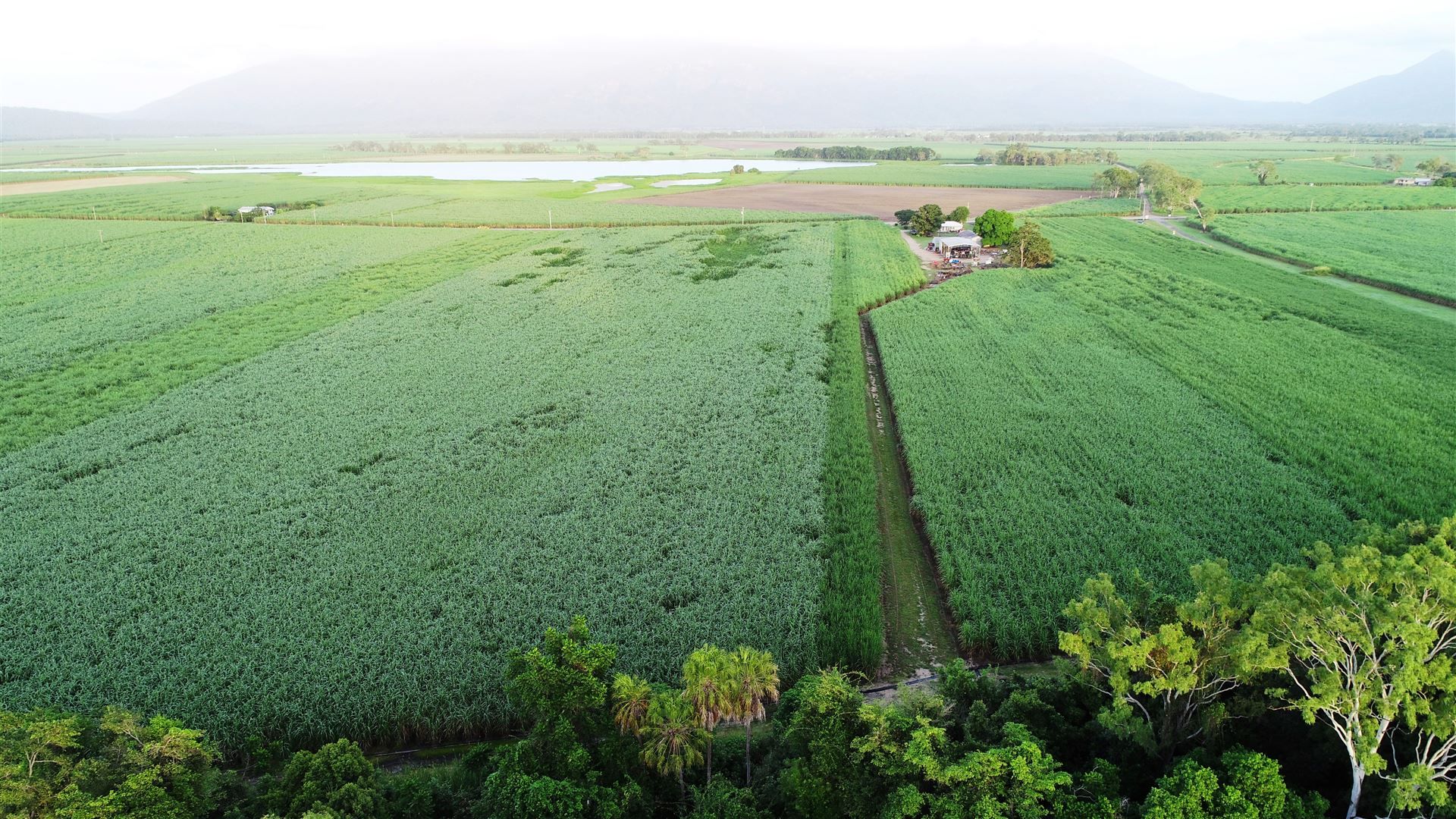 215 Shirbourne Road, Giru QLD 4809 Farm for Sale Domain