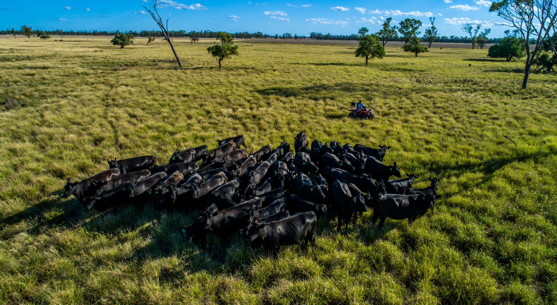 ‘Benah’, Coonamble NSW 2829, Image 2