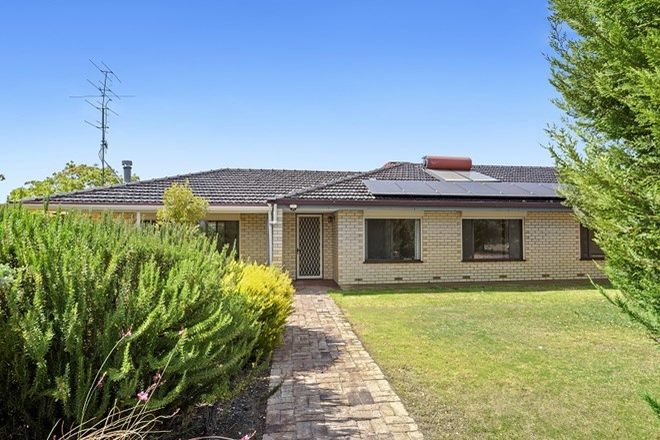 Picture of 12614 Sturt Highway, WAIKERIE SA 5330