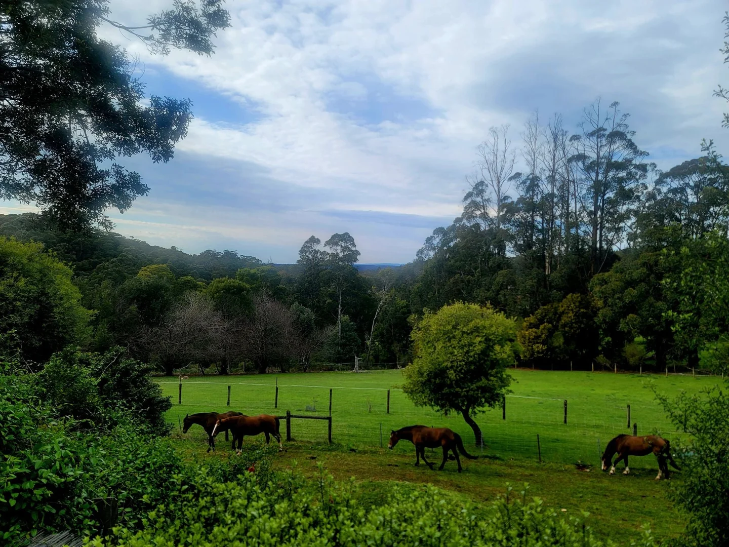 Additional image 19 of Rawson VIC 3825