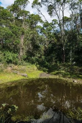 Image 41