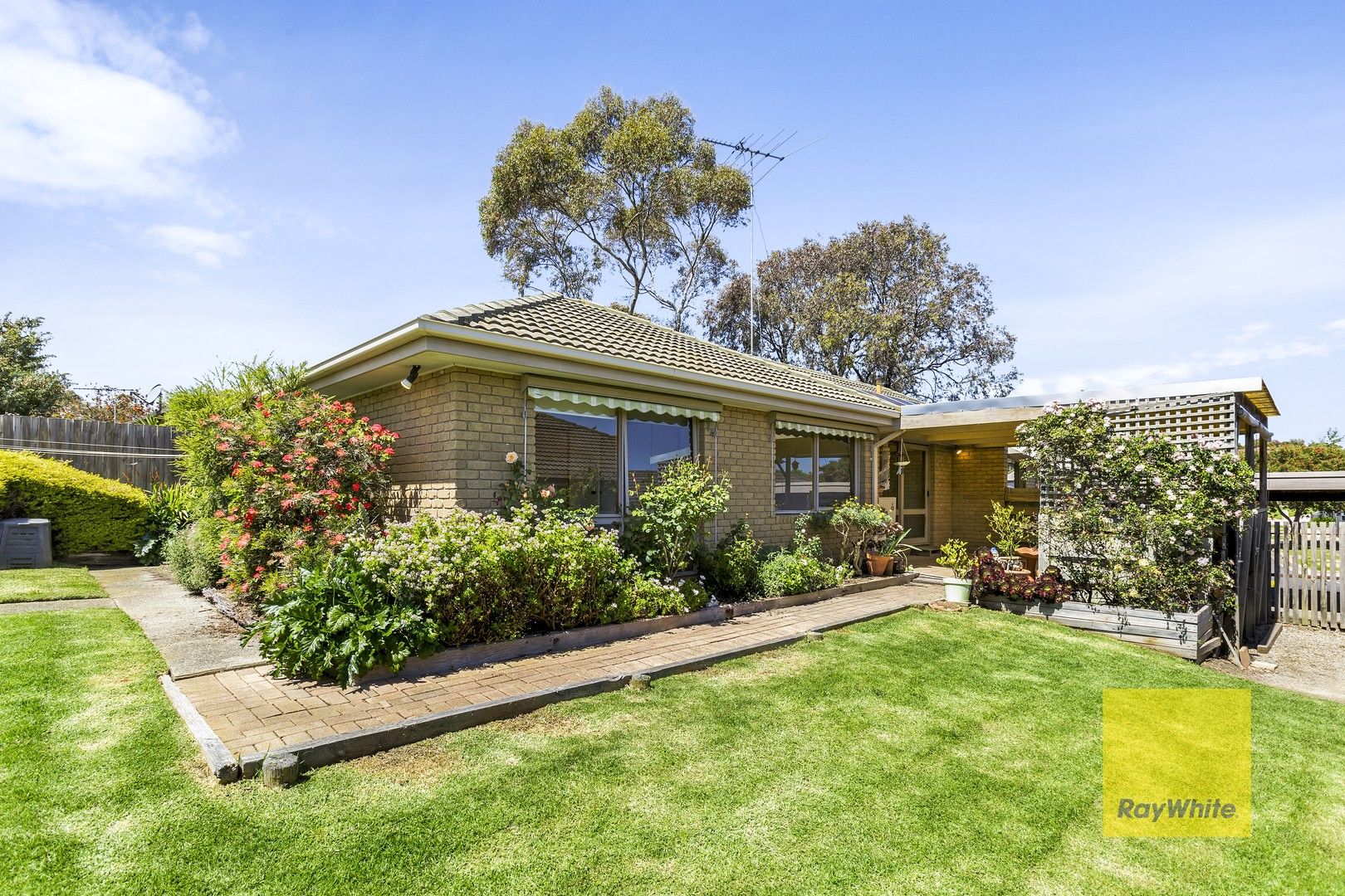 24 Allambee Avenue, Grovedale VIC 3216, Image 0