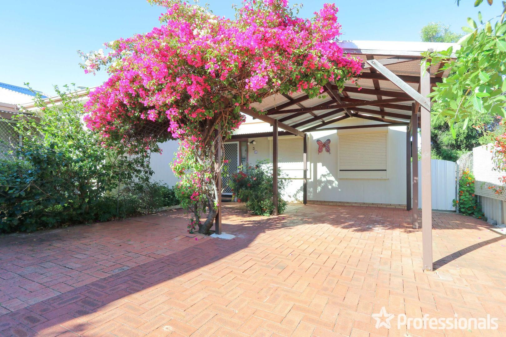 2 bedrooms Apartment / Unit / Flat in 3/18 Christmass Street NORTHAM WA, 6401