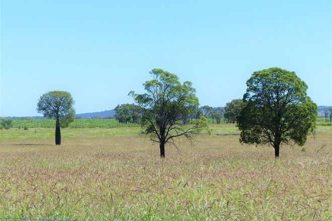 Picture of 500 Well Gully Road "Well Gully", MITCHELL QLD 4465