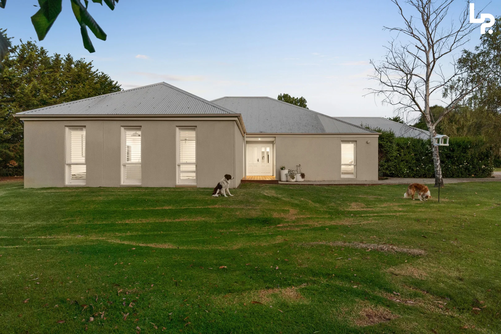 Image 4