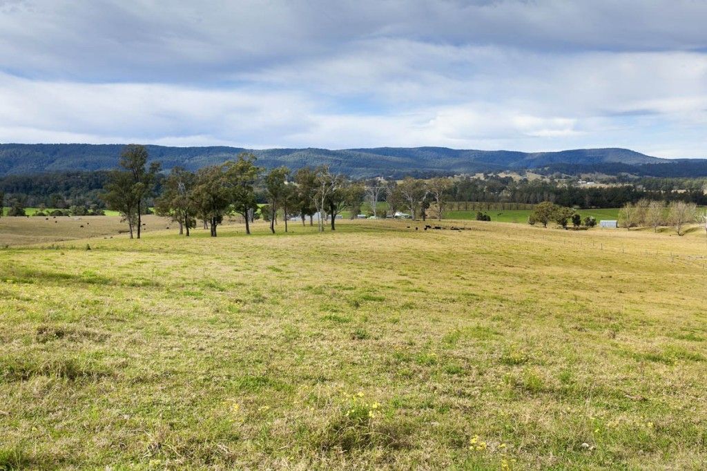 1295 Chichester Dam Road, Dungog NSW 2420, Image 1