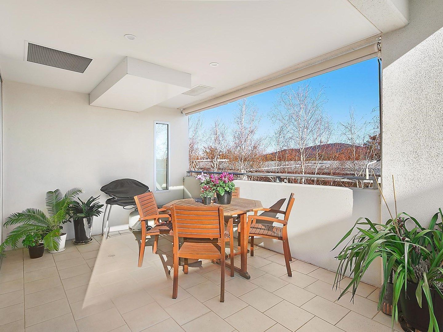 302/155 Northbourne Avenue, Turner ACT 2612, Image 0