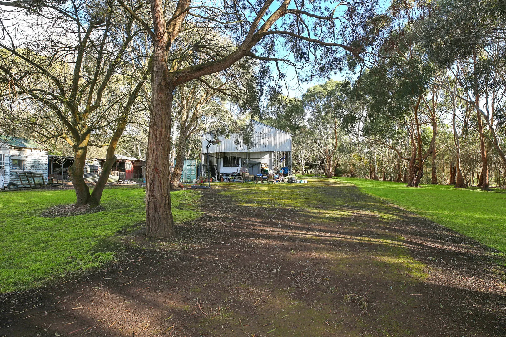 Image 19