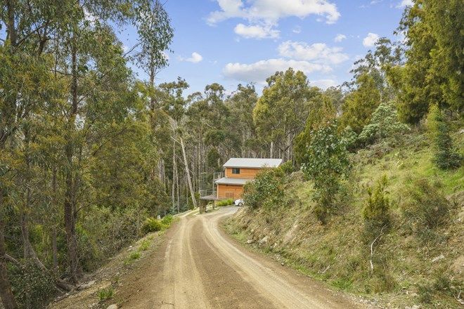 Picture of 259 Lower Swamp Road, LACHLAN TAS 7140