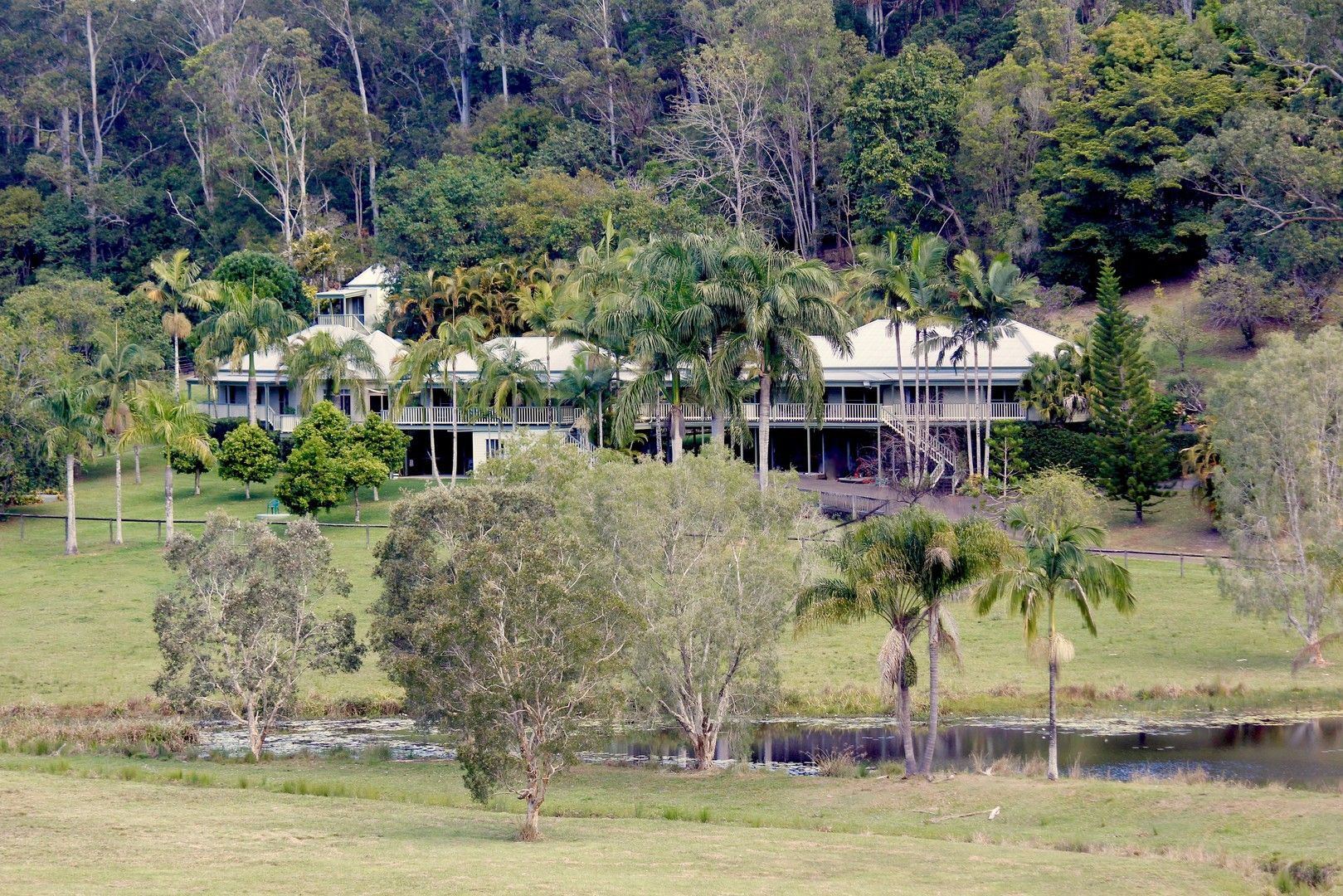 279 Seib Rd, Eumundi QLD 4562 House for Sale Domain