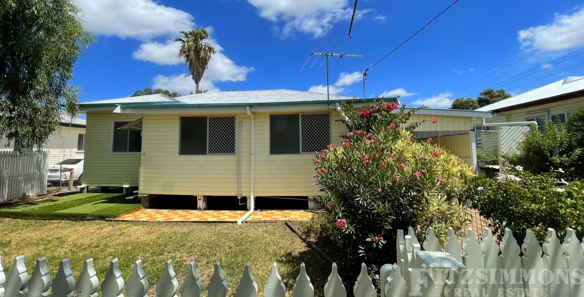 Image 19