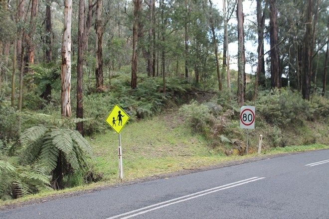 Picture of 678 Mt Baw Baw Tourist Road, NOOJEE VIC 3833