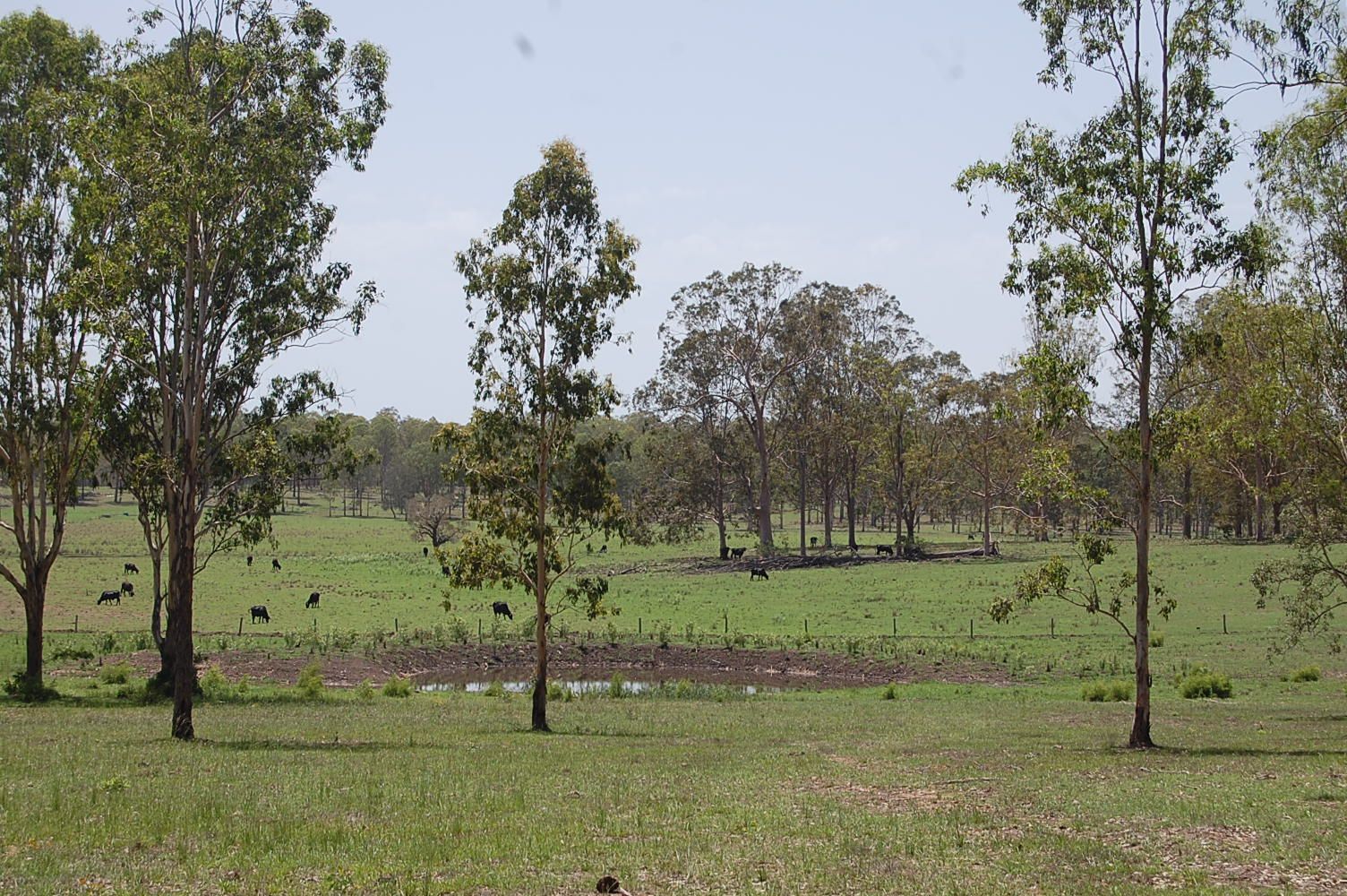 Lot 2, 785-865 Busbys Flat Road, Leeville NSW 2470, Image 2