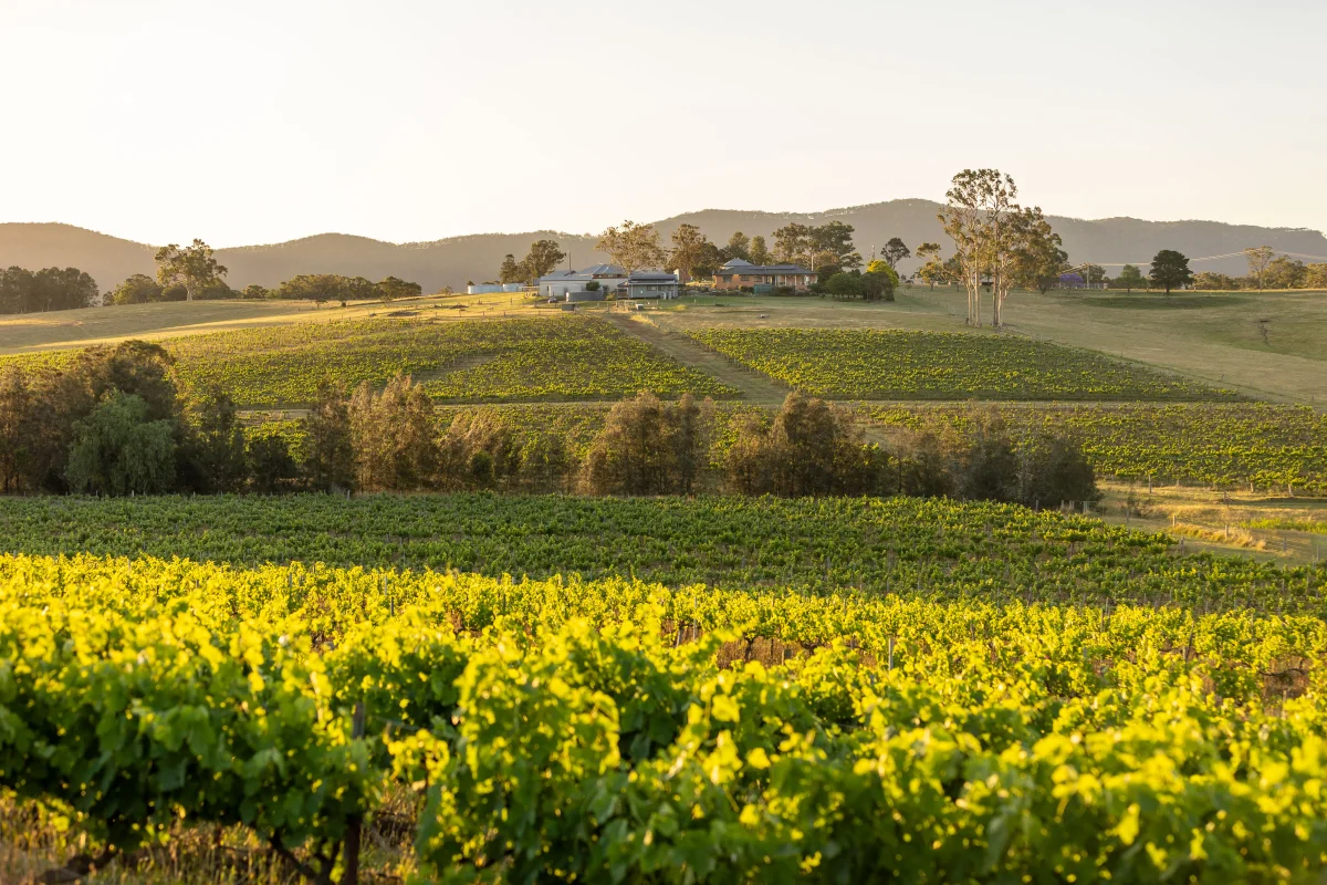 353 Oakey Creek Road, Pokolbin NSW 2320