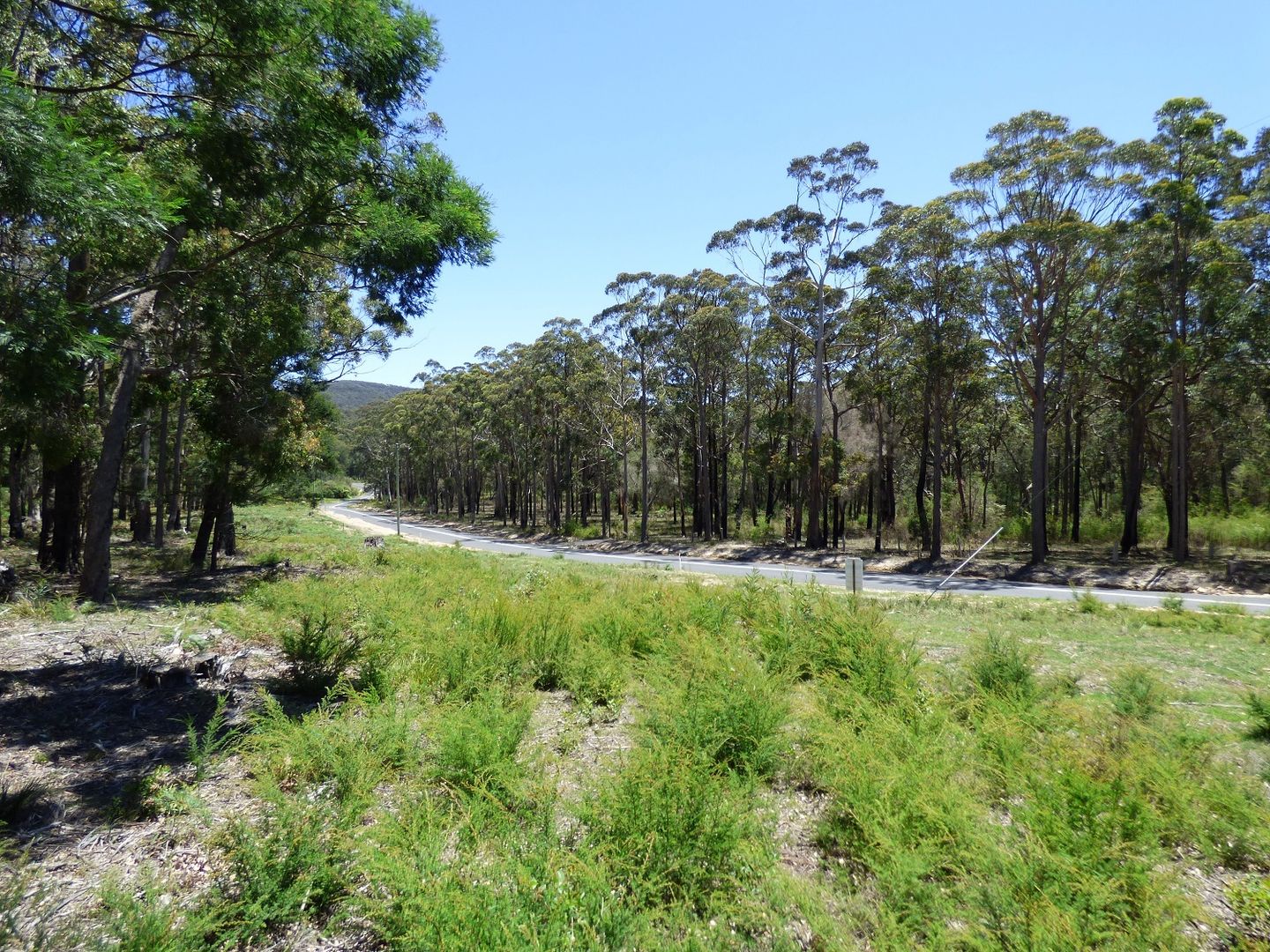 Proposed LOT C Gleeson Road Wonboyn Via, Eden NSW 2551, Image 2