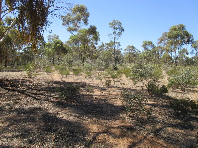Image 9