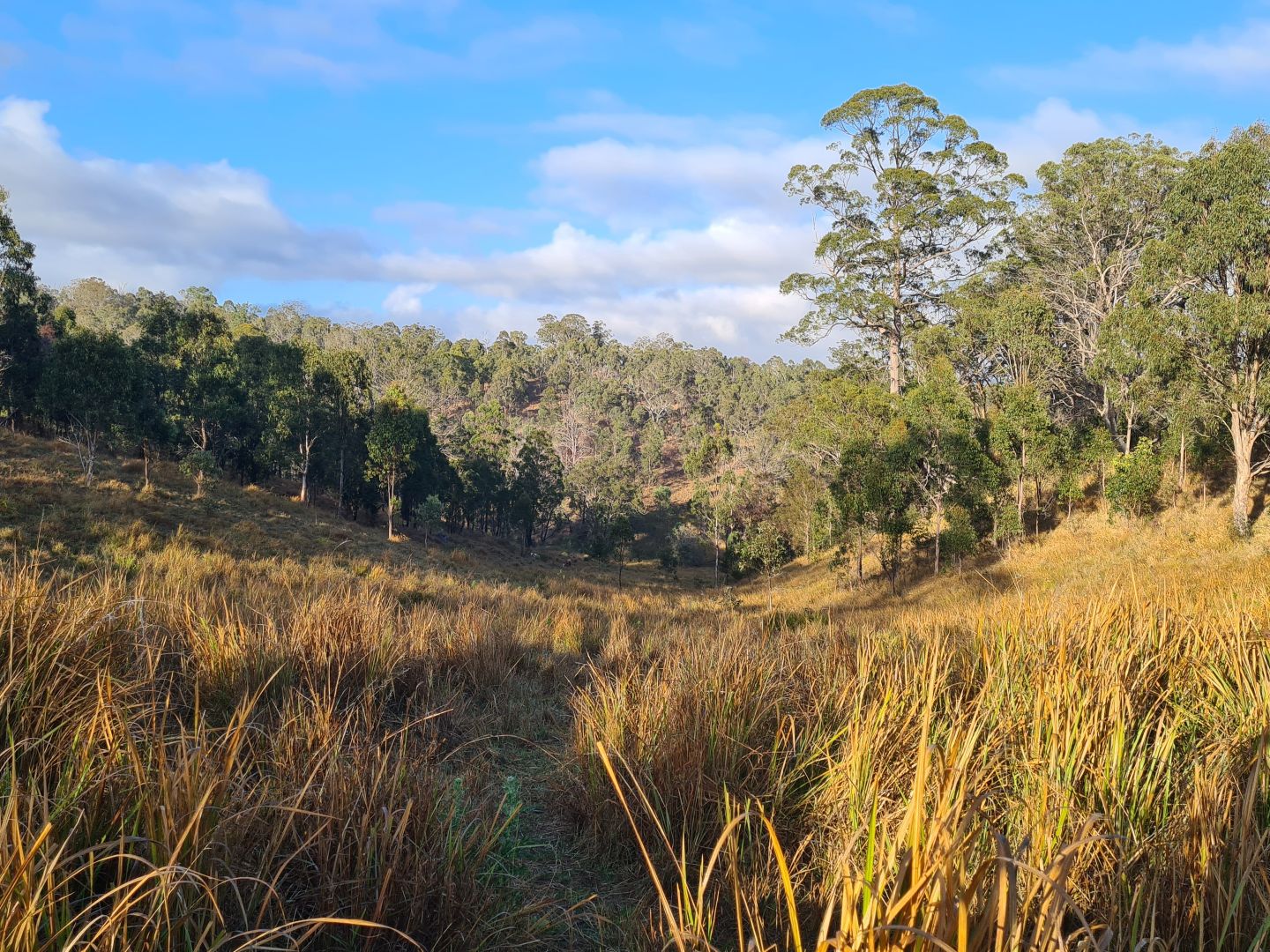 Lot 1 & Lot 75 Case Hut Road, Ravensbourne QLD 4352 House for Sale