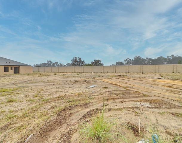 45 Avoca Chase, Baldivis WA 6171