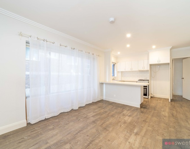 2/104 Howard Avenue, Dee Why NSW 2099