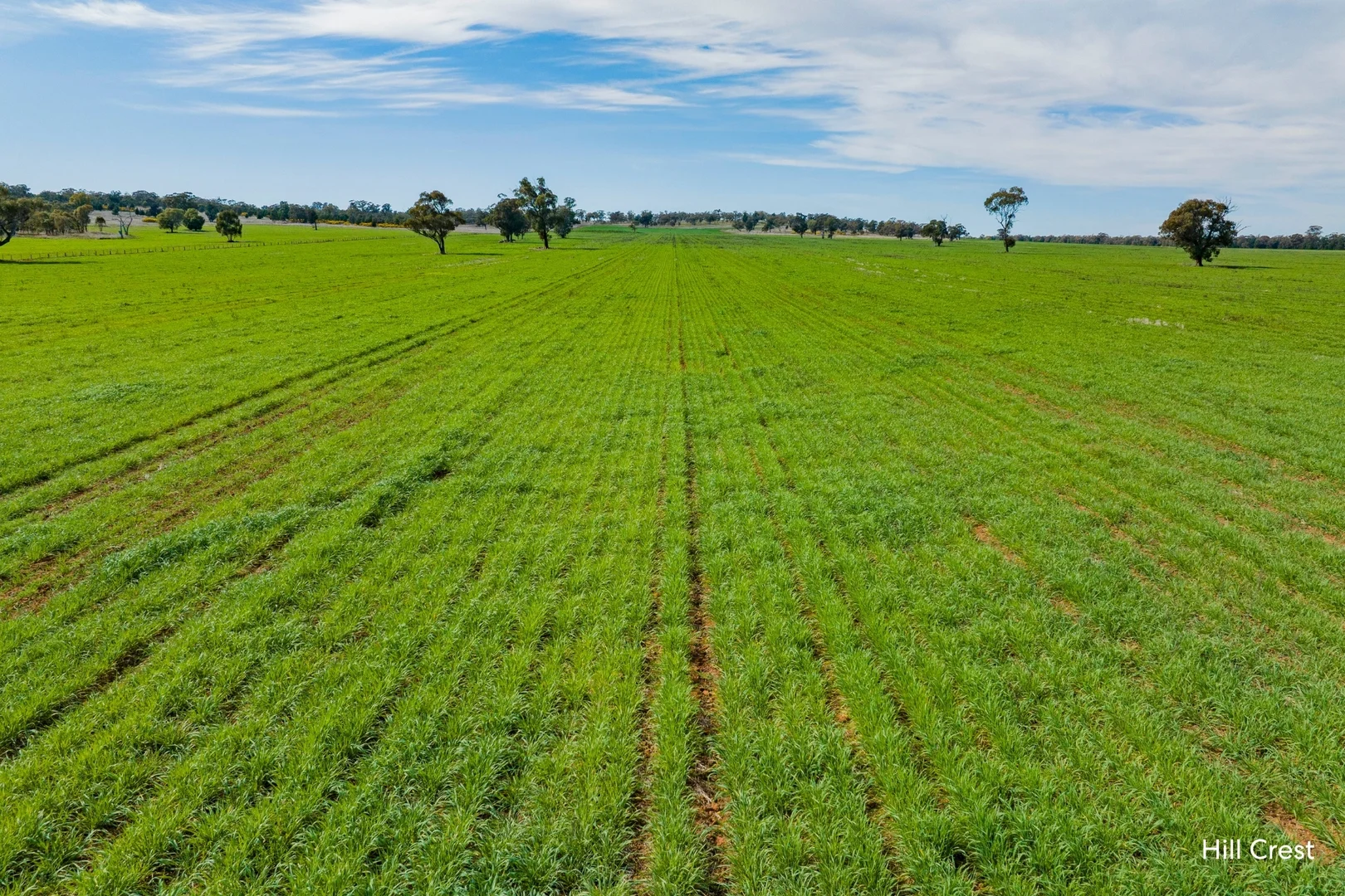 Additional image 8 of Kamarah Road, Narrandera NSW 2700