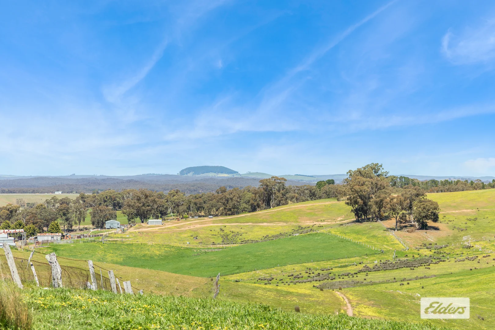 Image 35