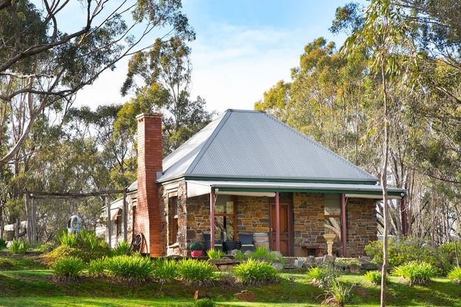 Picture of 227 Bells Reef Road, MALDON VIC 3463