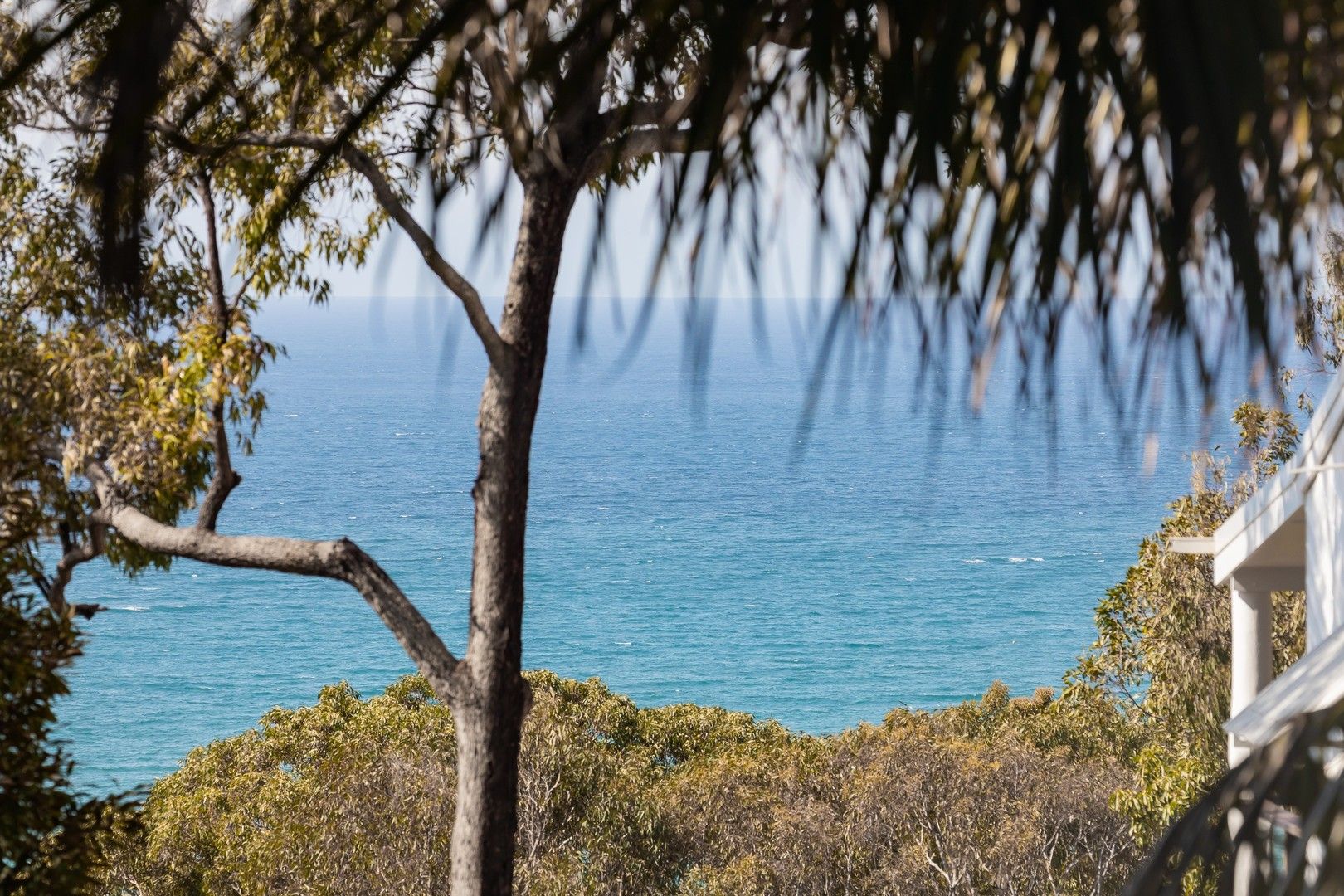 Vacant land in 80 Tramican Street, POINT LOOKOUT QLD, 4183