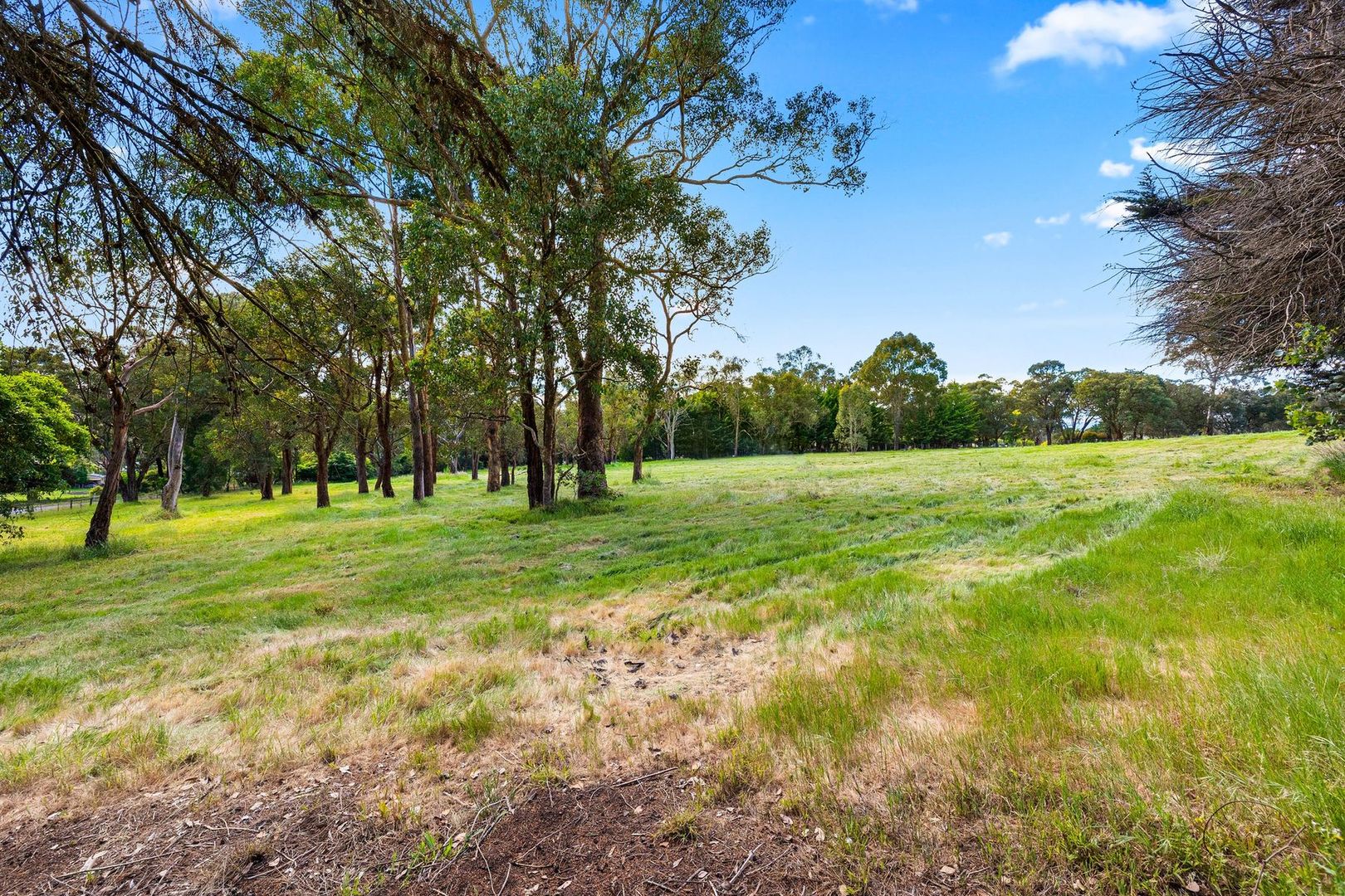 16 Homestead Road, Wonga Park VIC 3115, Image 1