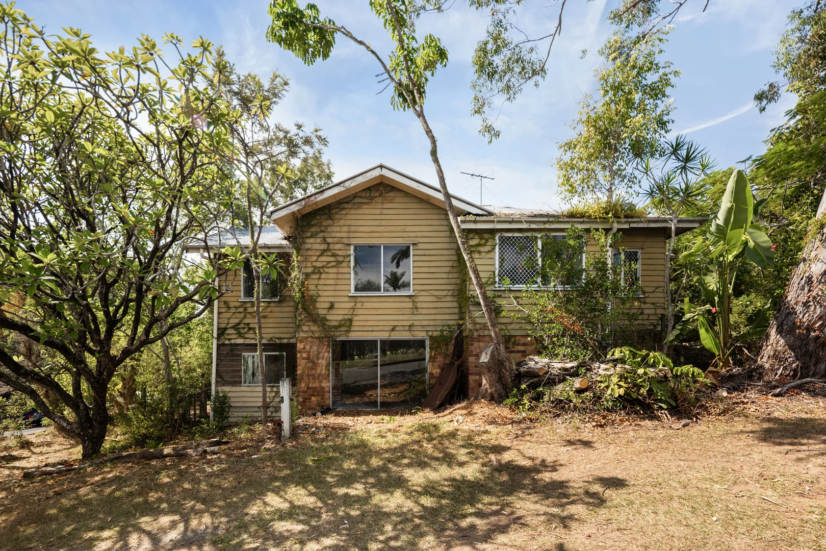 Additional image 3 of 81 McCaul Street, Taringa QLD 4068