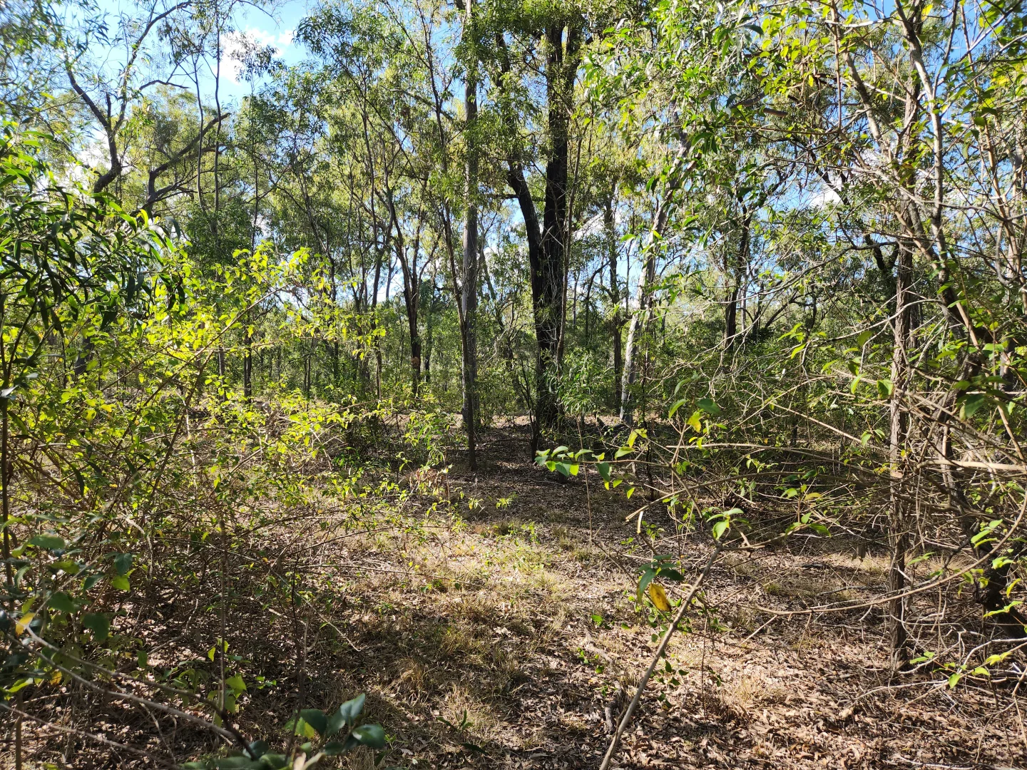 Image 6
